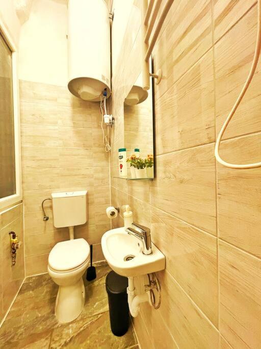 Central Studio Flat بودابست المظهر الخارجي الصورة